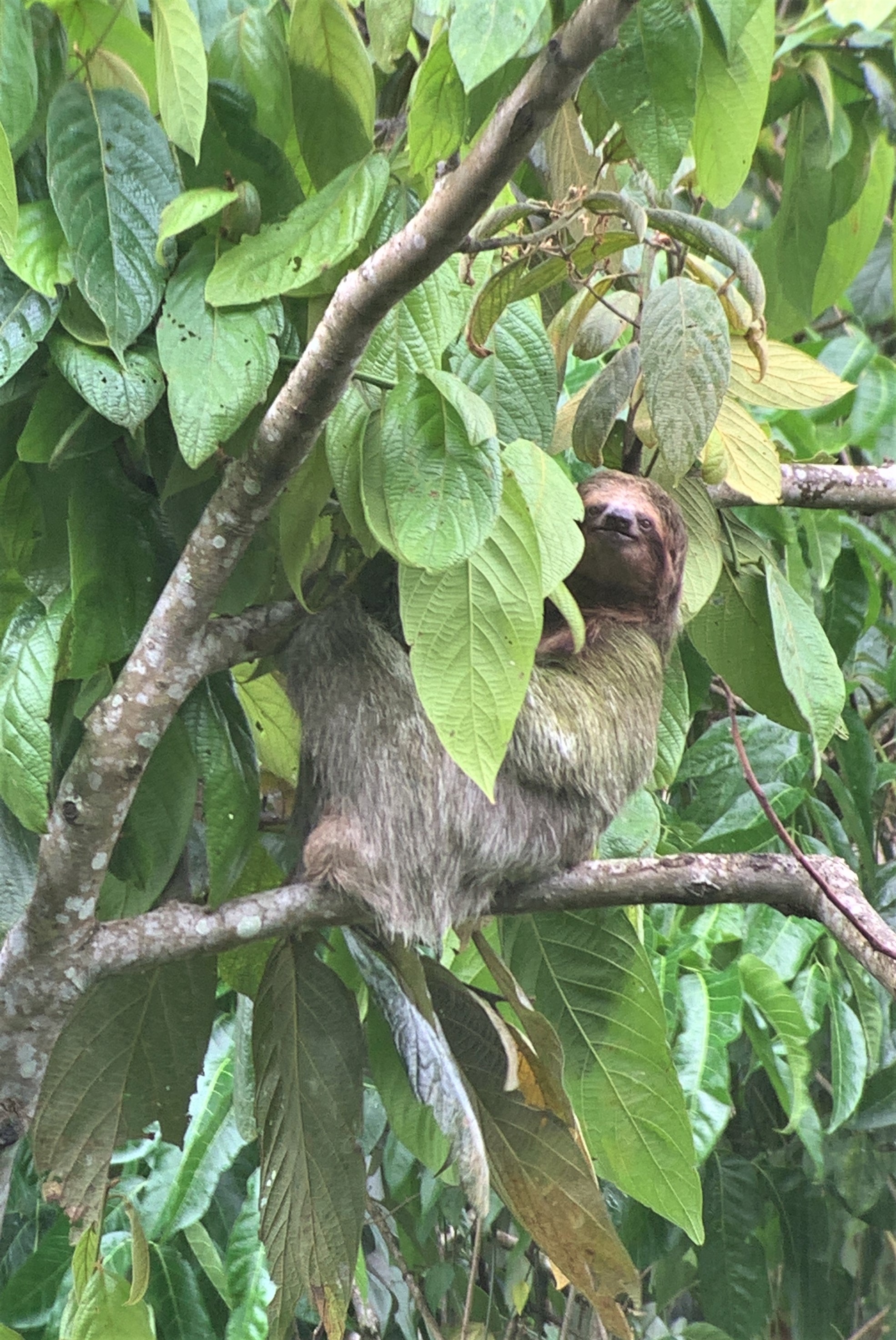 Costa Rica